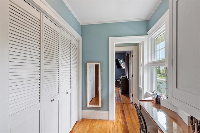 75 Hillcroft Ave, Worcester, MA 01606 - hallway with light wood-type flooring, crown molding, and baseboards