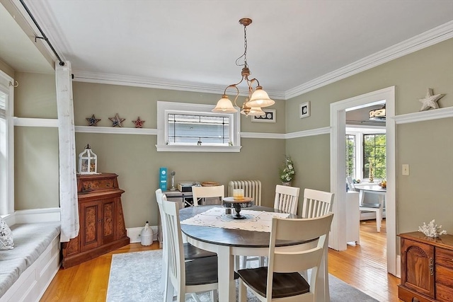 75 Hillcroft Ave, Worcester, MA 01606 - dining area featuring radiator, light wood-style flooring, a chandelier, and ornamental molding
