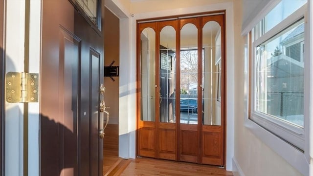 doorway featuring a wealth of natural light and light hardwood / wood-style floors