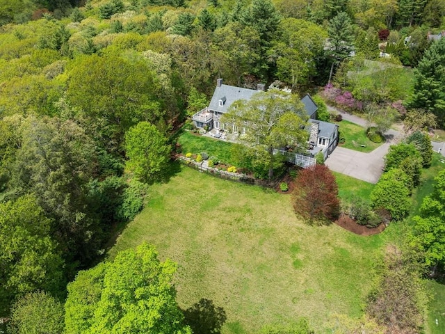 90 Burr Dr, Needham, MA 02492 - view from above of property with a heavily wooded area