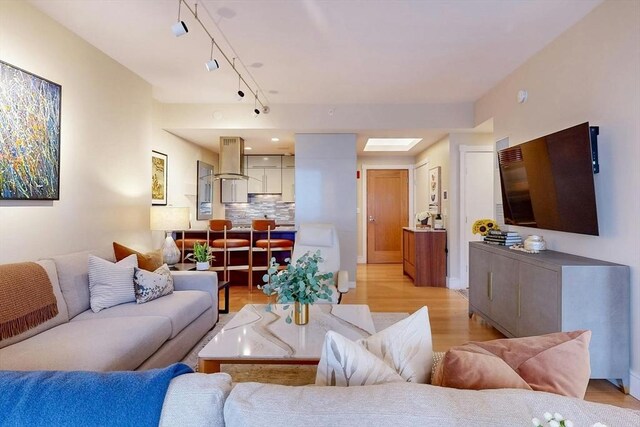 living room with light hardwood / wood-style flooring, track lighting, and a skylight