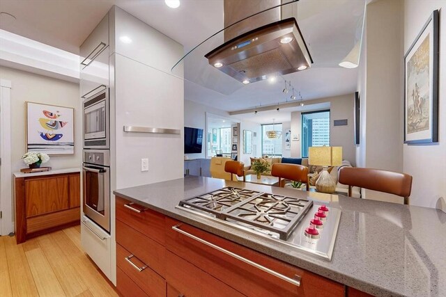 kitchen featuring light hardwood / wood-style flooring, track lighting, stainless steel appliances, island exhaust hood, and stone counters