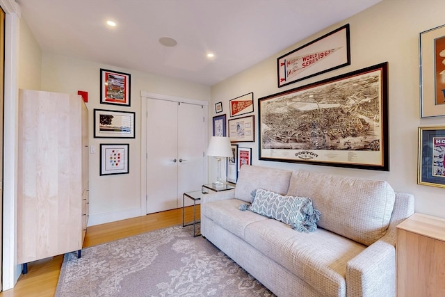 living room featuring light hardwood / wood-style floors