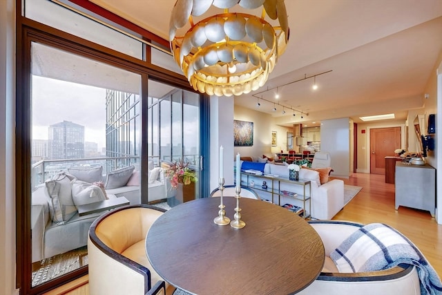 dining area featuring a wealth of natural light, light hardwood / wood-style flooring, and track lighting