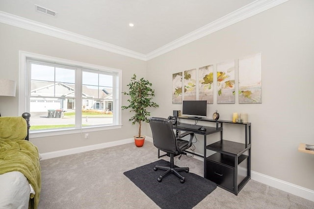 carpeted office space featuring crown molding