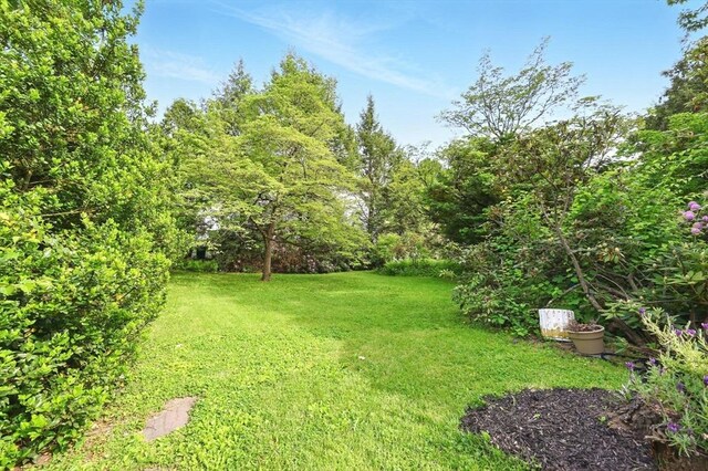 96 College St, South Hadley, MA 01075 - view of green lawn