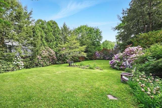 96 College St, South Hadley, MA 01075 - view of grassy yard