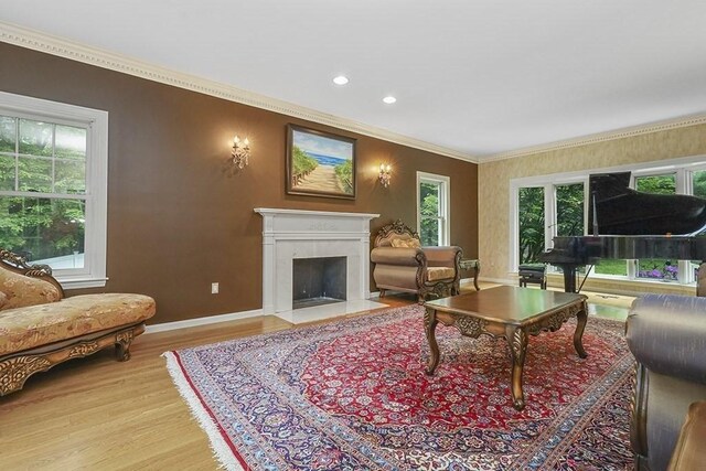 18 Village Hill Rd, Dover, MA 02030 - living area with wood finished floors, baseboards, crown molding, a fireplace with flush hearth, and recessed lighting