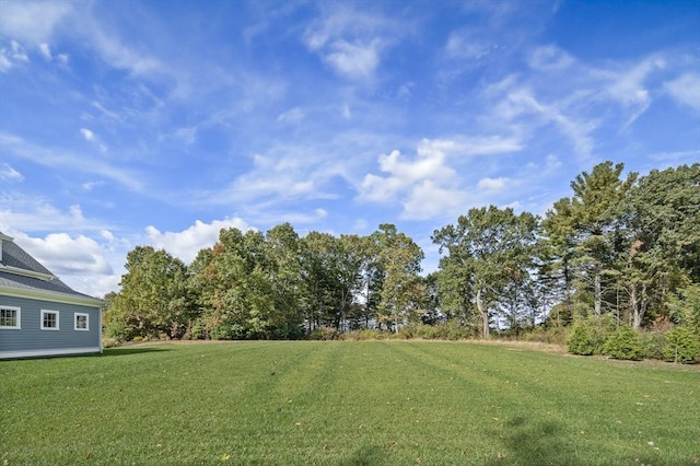 5 Bullens Way, Canton, MA 02021 - view of grassy yard