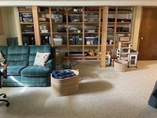 living area with carpet flooring