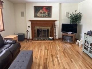 living area with a fireplace with raised hearth and wood finished floors