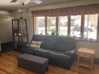 living room featuring a ceiling fan and wood finished floors