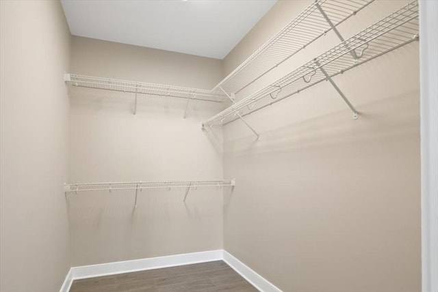 spacious closet featuring dark wood-type flooring