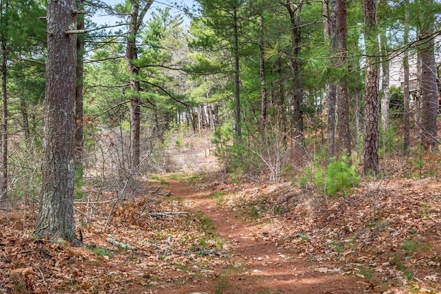 29 Shinglewood, Plymouth, MA 02360 - view of wooded area