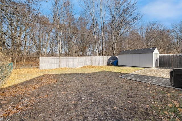 view of yard with a patio and a storage shed