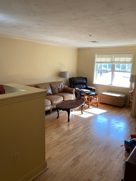 living room featuring light hardwood / wood-style floors, ornamental molding, and a textured ceiling