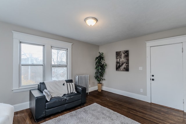 living area with dark hardwood / wood-style floors and radiator