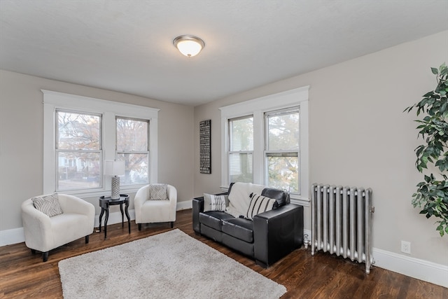 living room featuring dark hardwood / wood-style floors and radiator