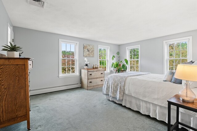 3 Penni Ln, Andover, MA 01810 - bedroom with a baseboard radiator, multiple windows, and carpet floors