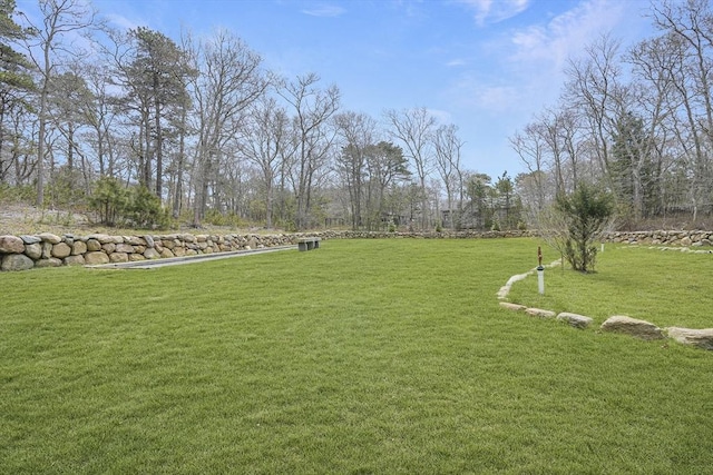 79 David Ave, Tisbury, MA 02568 - view of green lawn