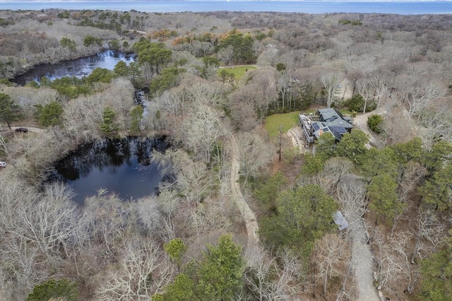 79 David Ave, Tisbury, MA 02568 - aerial view of property's location with a large body of water and a forest