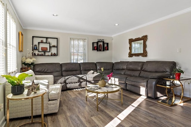 living room with crown molding and dark hardwood / wood-style floors