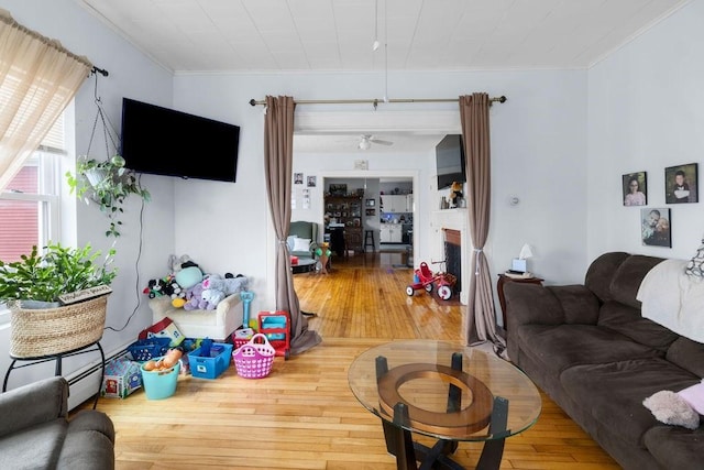 living room featuring ornamental molding, a fireplace, ceiling fan, and wood finished floors