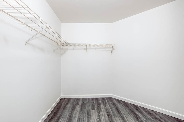 4975 Washington St Unit 313, Boston, MA 02132 - spacious closet featuring dark wood-style flooring