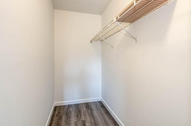 4975 Washington St Unit 313, Boston, MA 02132 - walk in closet featuring dark wood-type flooring
