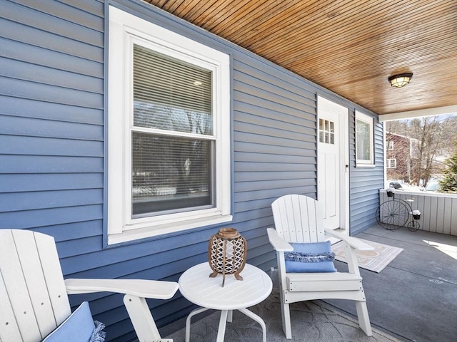 view of patio / terrace with a porch