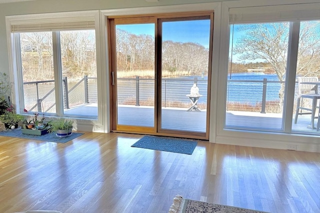 doorway with a water view, a healthy amount of sunlight, and wood finished floors