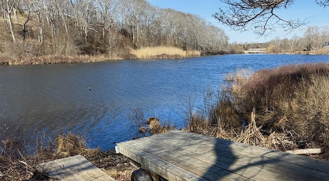 view of dock featuring a water view