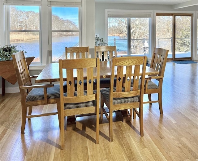 dining room with a healthy amount of sunlight, light wood-type flooring, and a water view