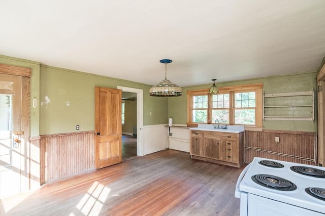 43 Meadow St, Northfield, MA 01360 - kitchen featuring electric stove, light wood-type flooring, pendant lighting, and a wainscoted wall