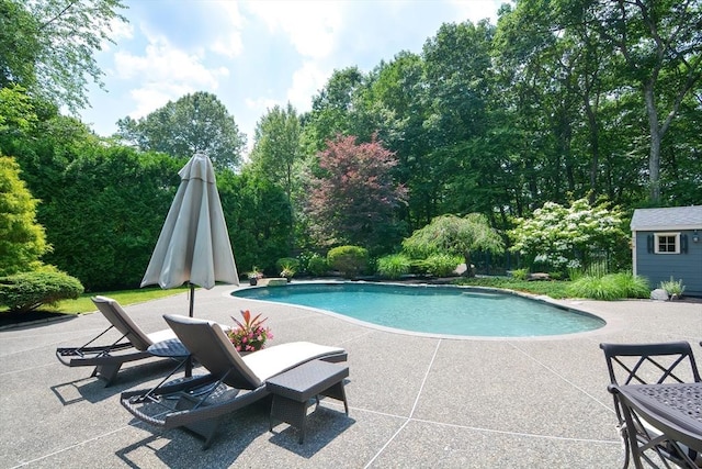 pool with a patio and an outdoor structure