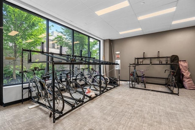 50 Leo M Birmingham Pkwy Unit 501, Boston, MA 02135 - workout area featuring carpet flooring and baseboards
