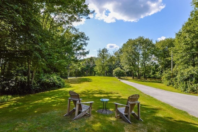 view of community featuring a lawn