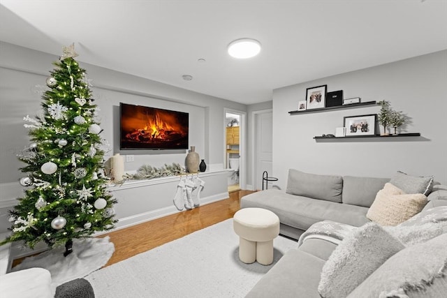 living room with hardwood / wood-style flooring