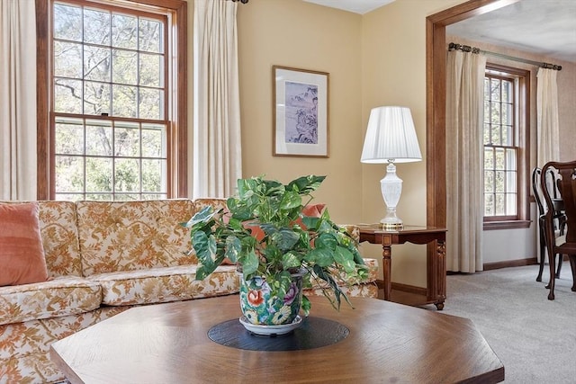sitting room with baseboards and carpet