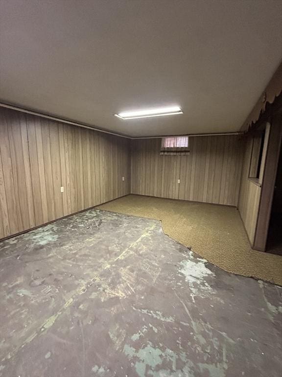 basement with wood walls