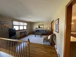 living area featuring wood finished floors