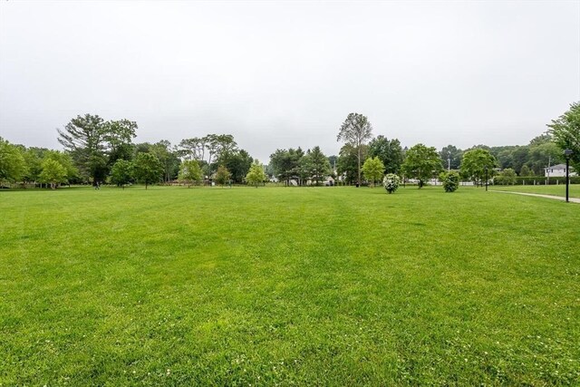 1 Revolution Way Unit 108, Canton, MA 02021 - view of green lawn