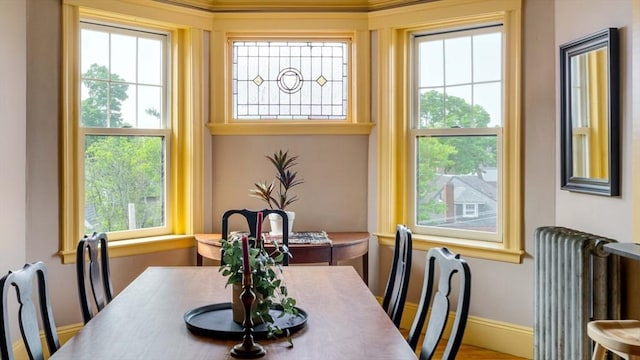 3 Newport Rd Unit 8, Cambridge, MA 02140 - dining space featuring radiator and plenty of natural light