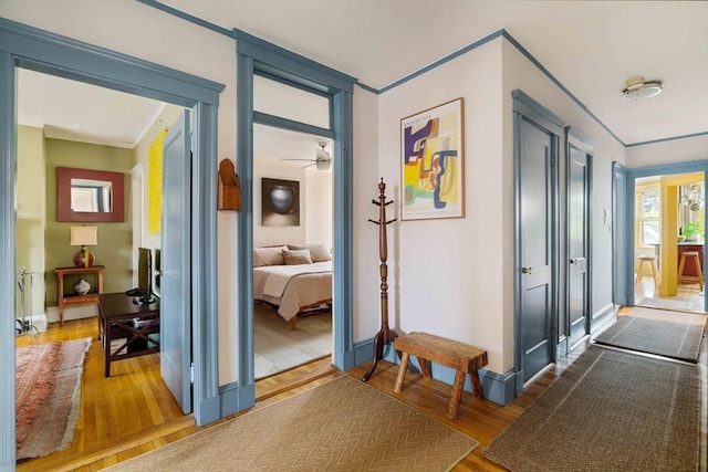 3 Newport Rd Unit 8, Cambridge, MA 02140 - corridor with ornamental molding and wood finished floors