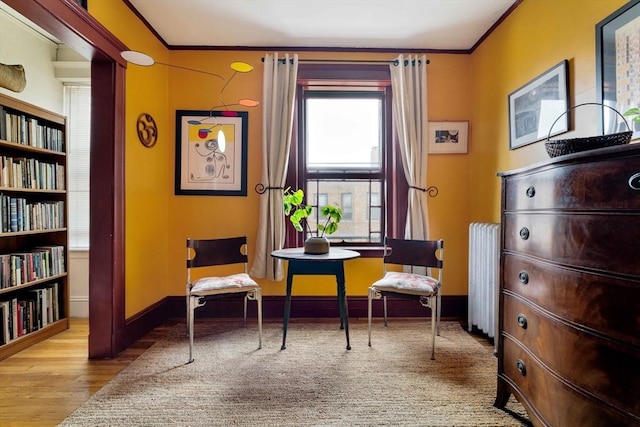 3 Newport Rd Unit 8, Cambridge, MA 02140 - living area featuring radiator heating unit, wood finished floors, and crown molding