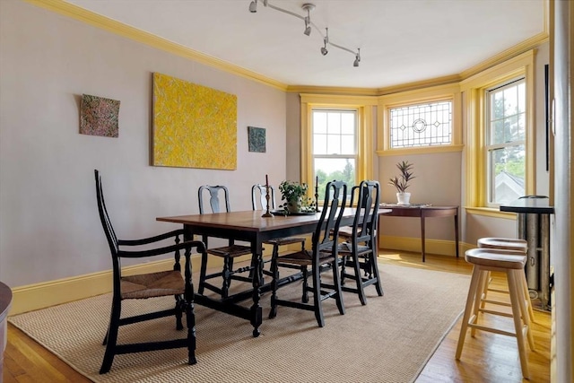 3 Newport Rd Unit 8, Cambridge, MA 02140 - dining area with track lighting, healthy amount of natural light, crown molding, and light wood finished floors