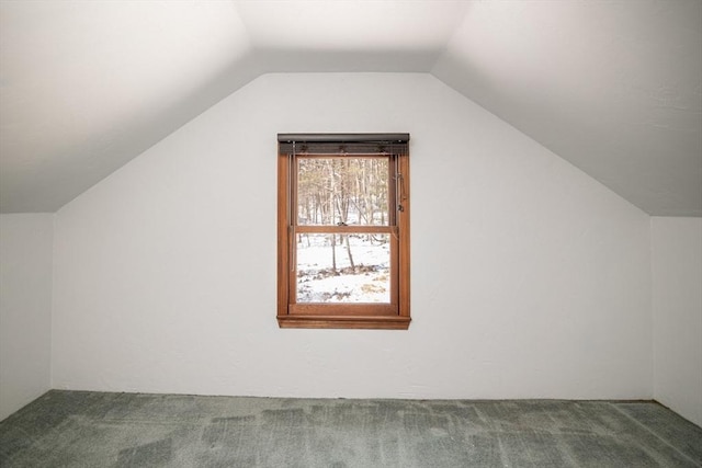 bonus room with vaulted ceiling and carpet