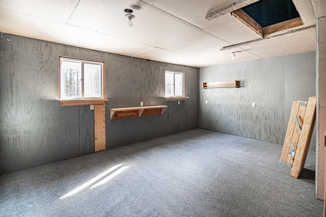 basement with carpet floors