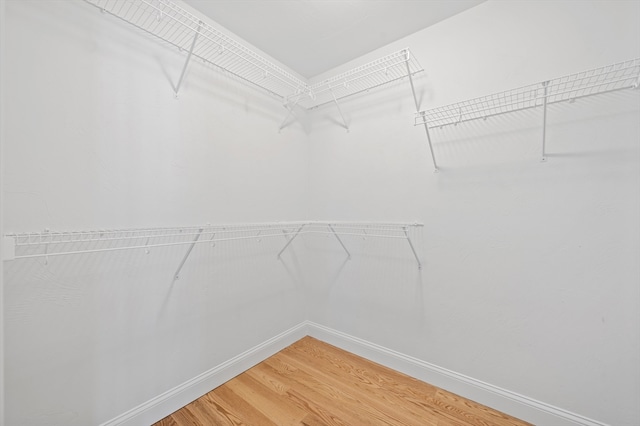 233 W Mountain St, Worcester, MA 01606 - walk in closet featuring light wood finished floors