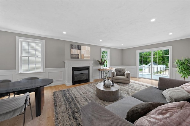 233 W Mountain St, Worcester, MA 01606 - living area with ornamental molding, a glass covered fireplace, recessed lighting, a wainscoted wall, and light wood-style floors
